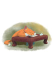 睡猫