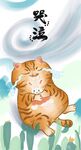 萌主猫            