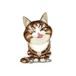 猫              