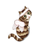 猫              