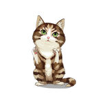 猫              