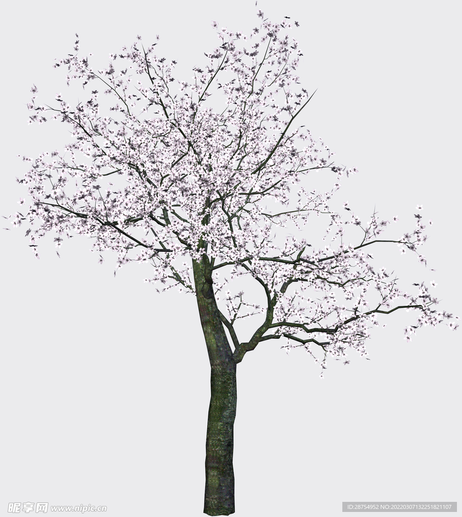 树