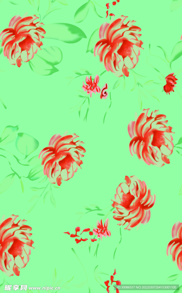 玫瑰花