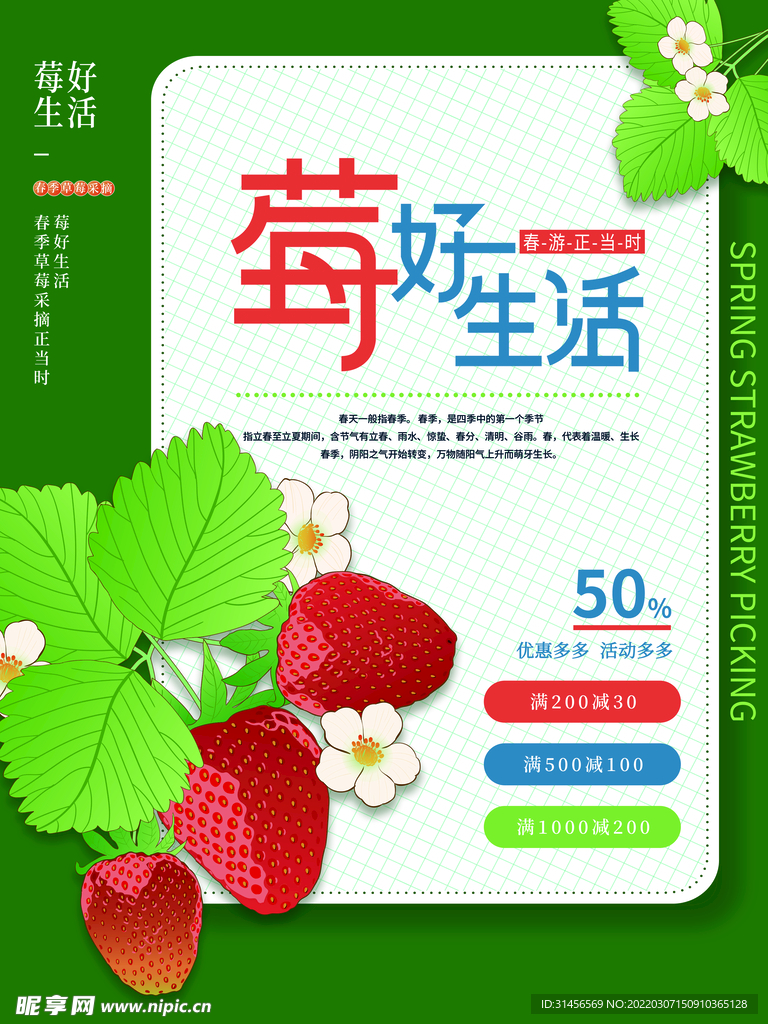 草莓采摘