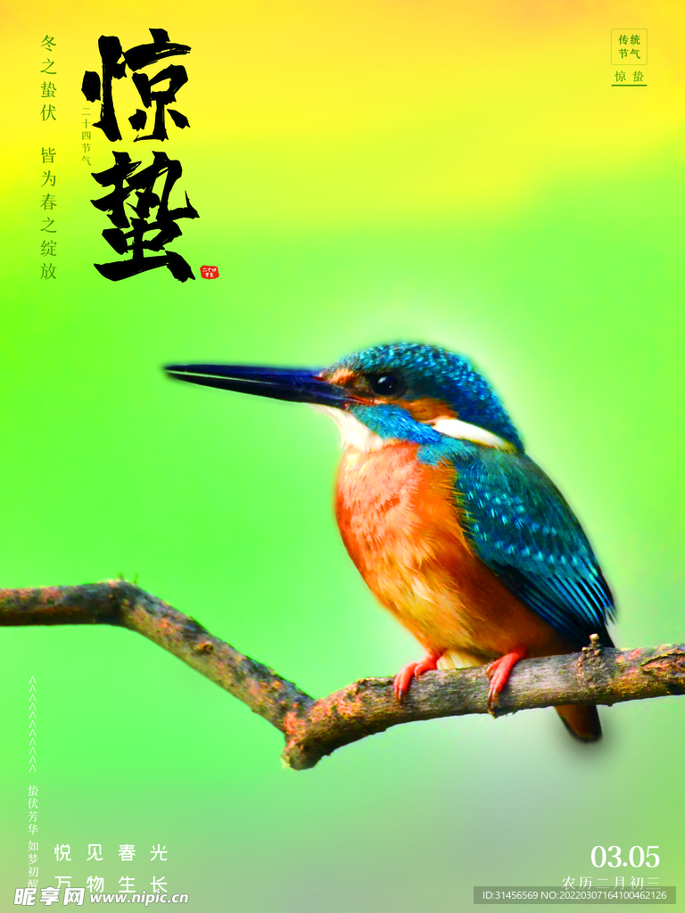 惊蛰