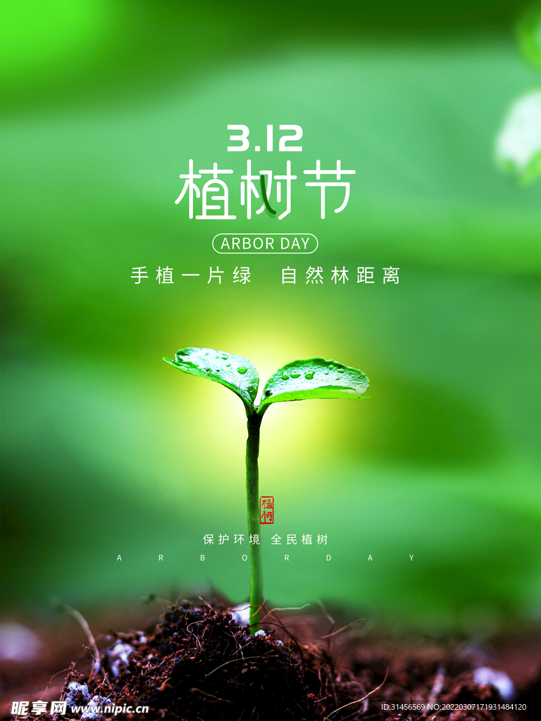 植树节
