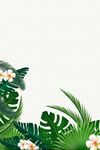 清新热带植物背景