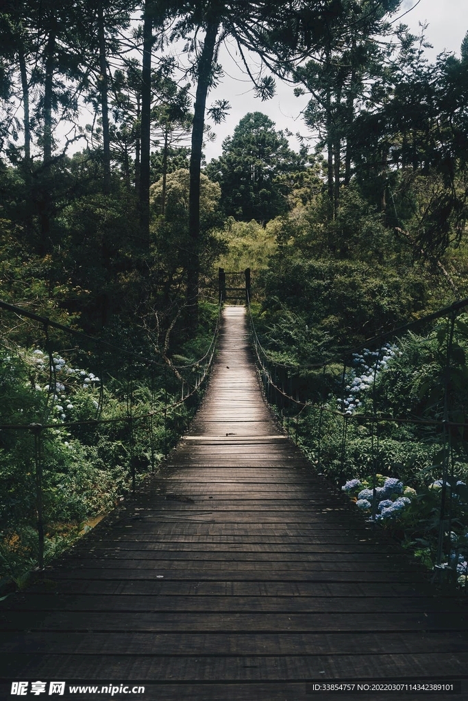 小路