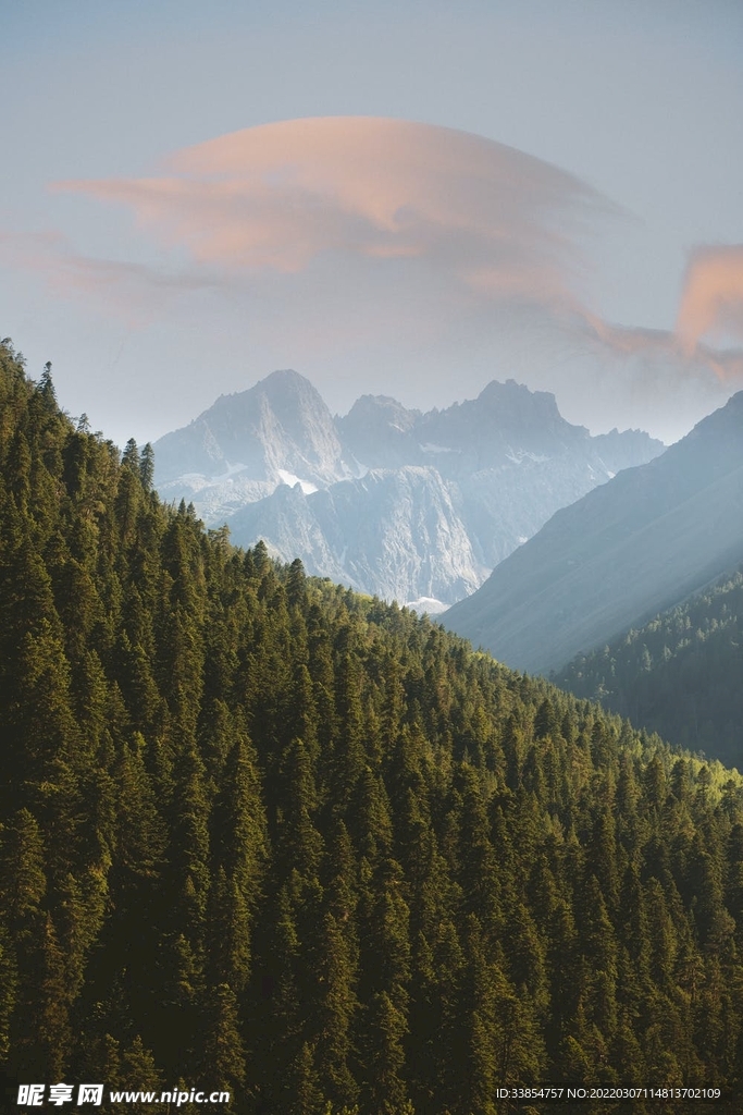 山