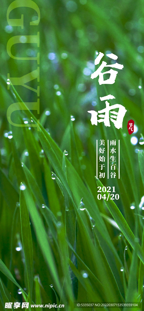 谷雨节日节气海报
