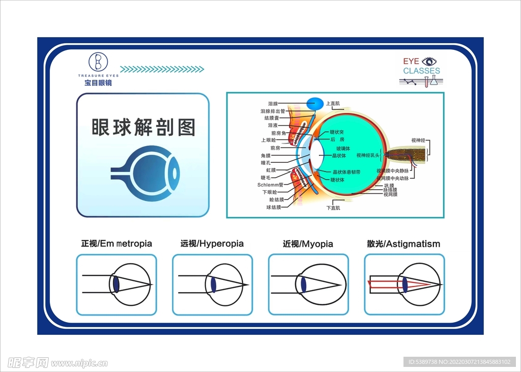 宝目眼镜版面