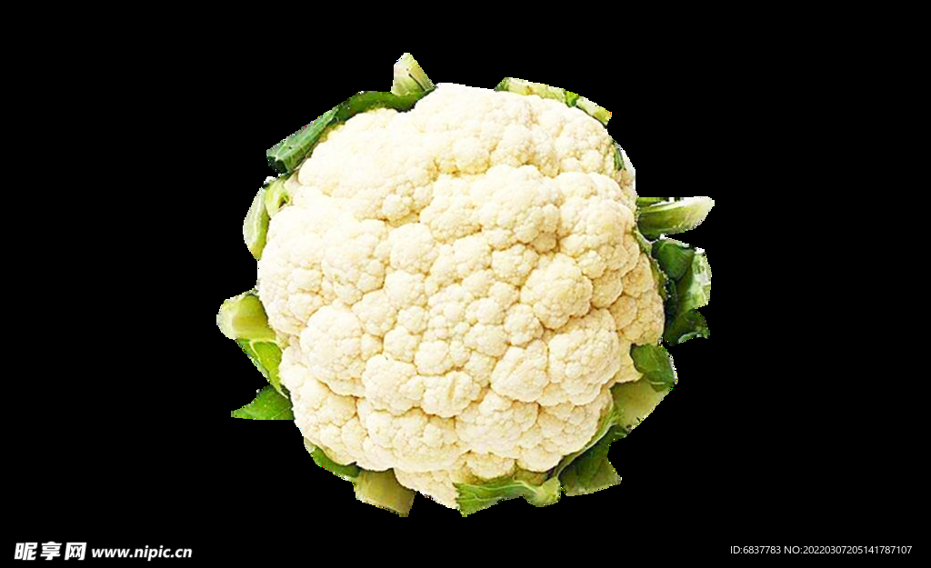 白兰花