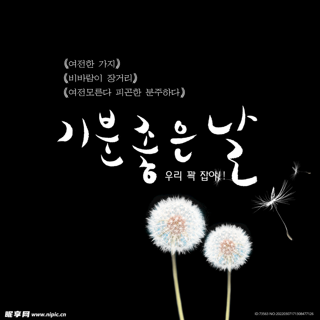 模版字体 艺术字