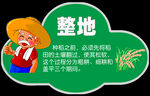 小草标牌科普标牌
