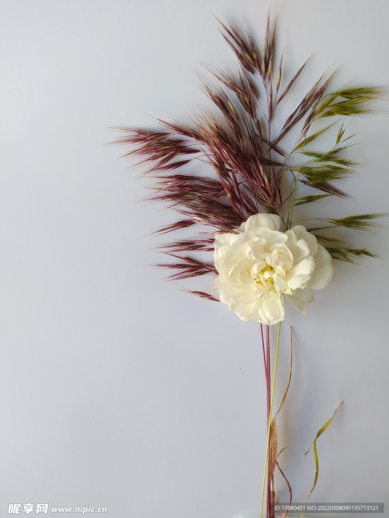 插花