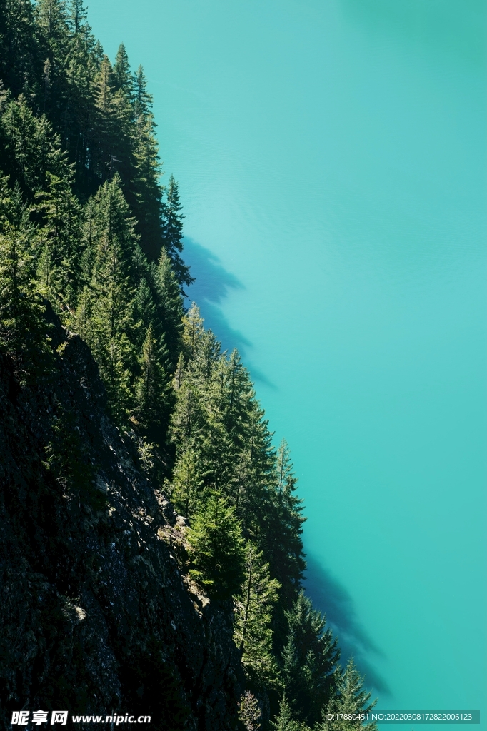 山林