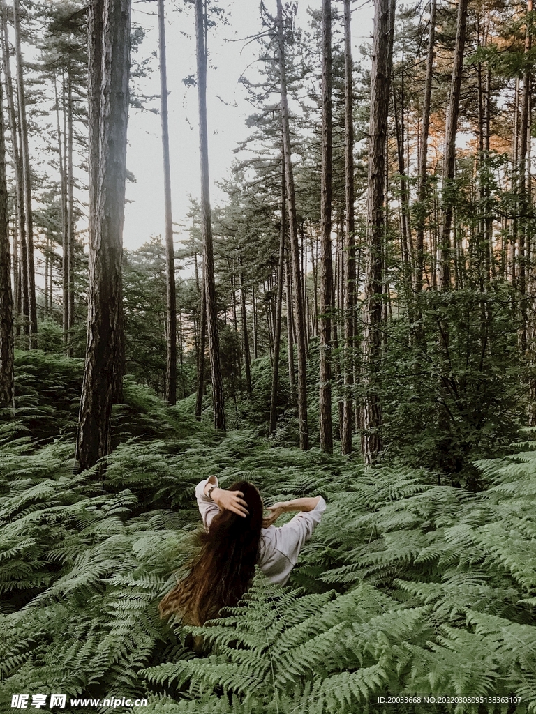 森林林中少女