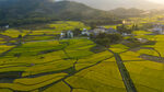 田园风光