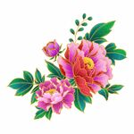 手绘国潮鲜花