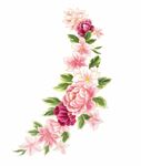 手绘国潮鲜花