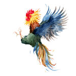 手绘公鸡