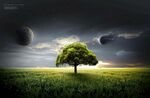 星球 月球 宇宙 太阳系 行星