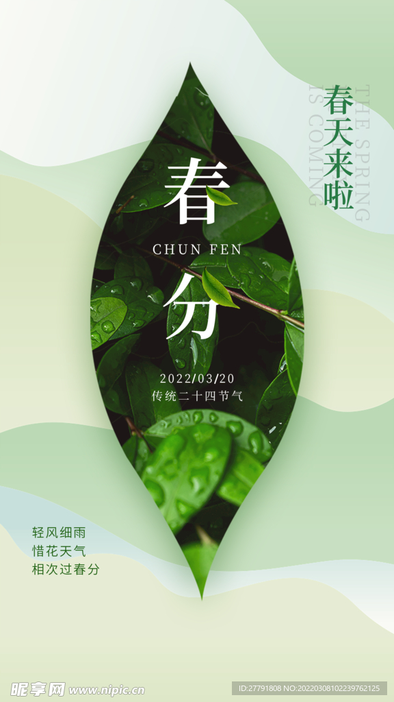 地产春分春天节气微信海报