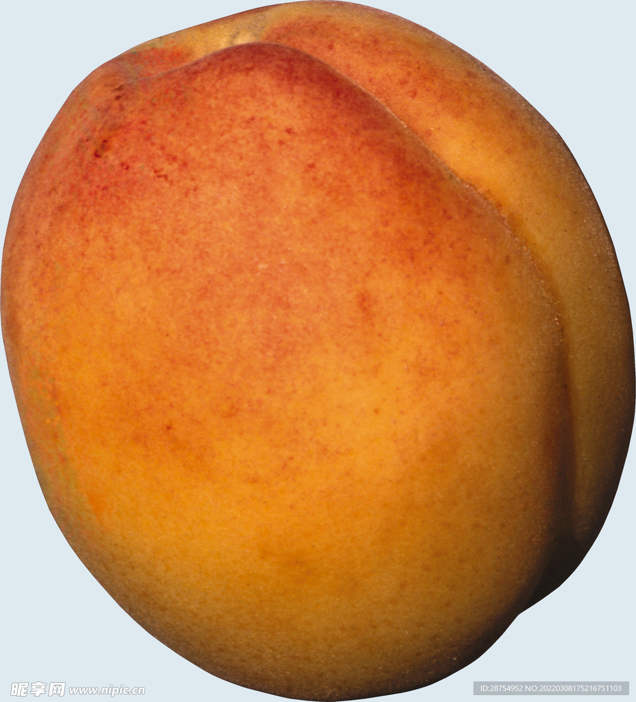 桃子