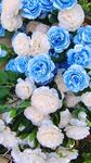 漂亮塑料花