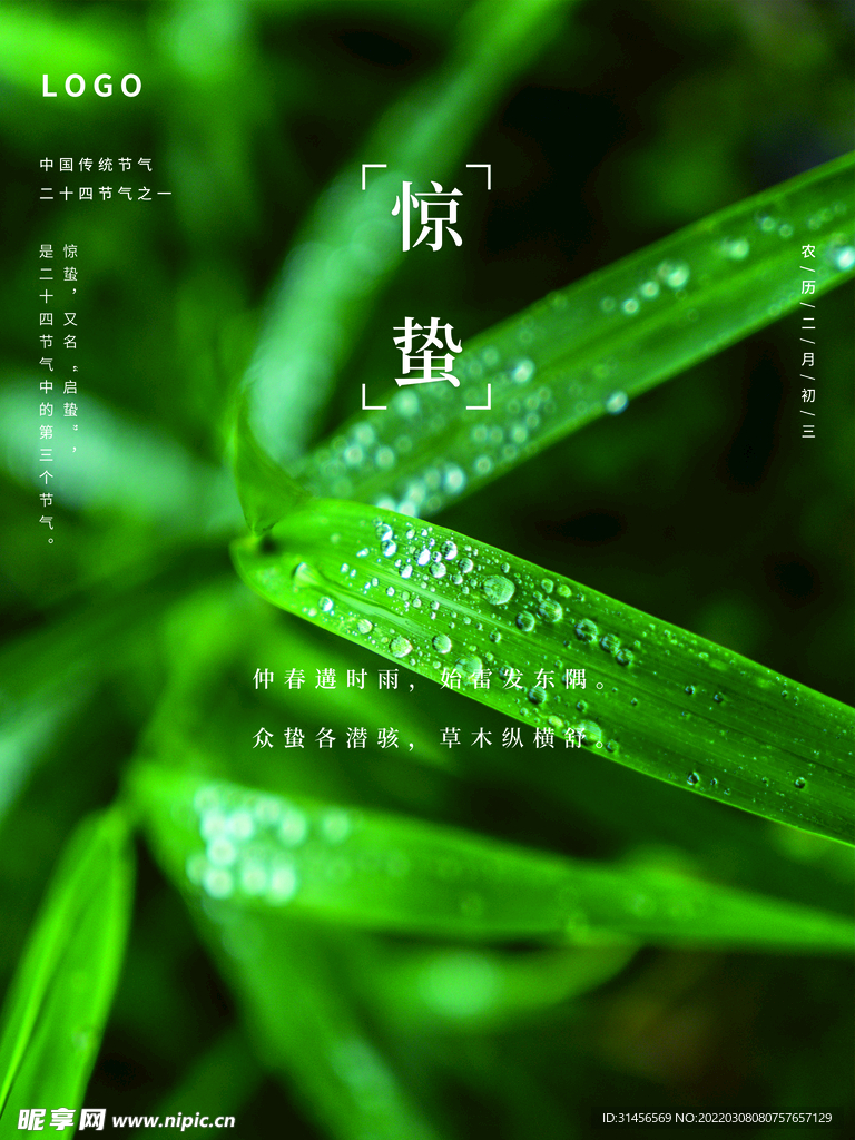 惊蛰