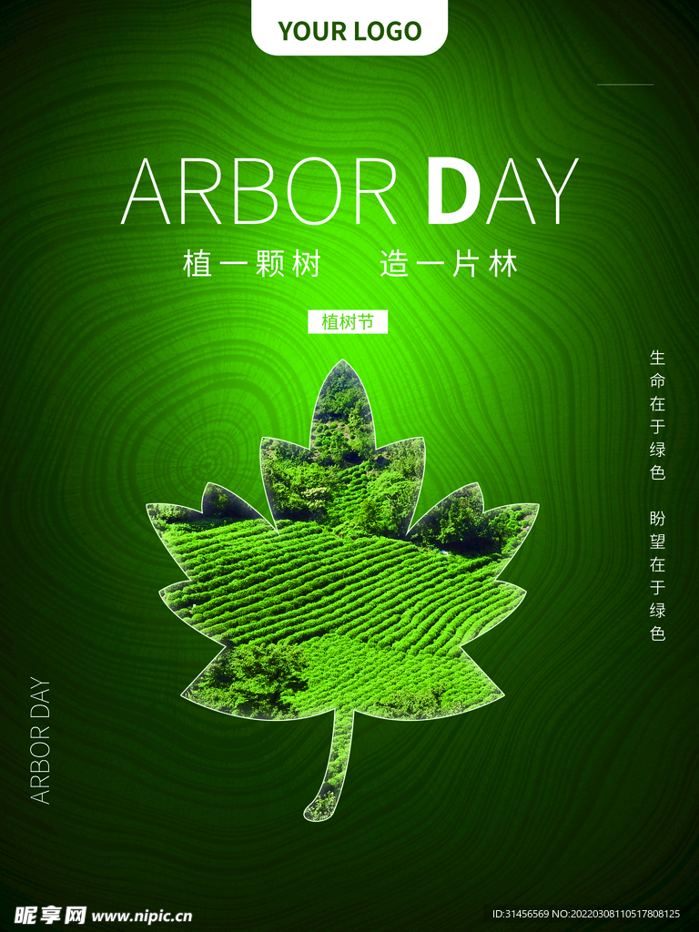 植树节