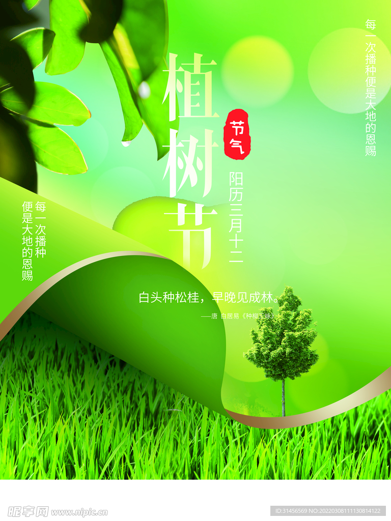 植树节