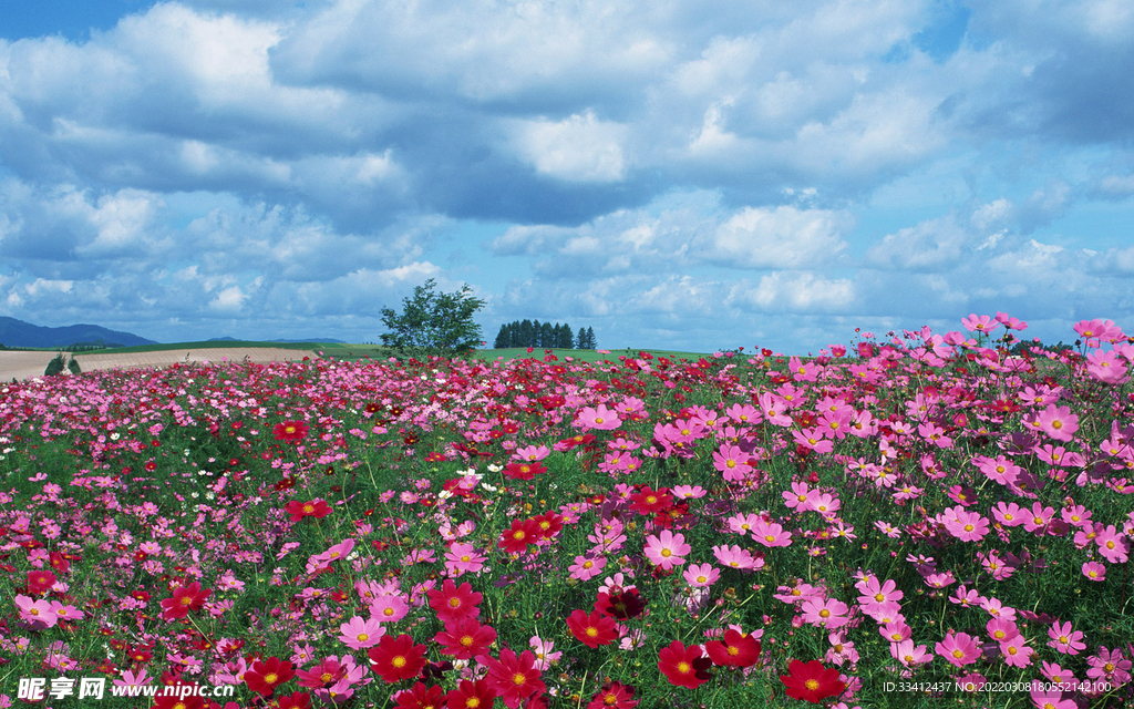 花