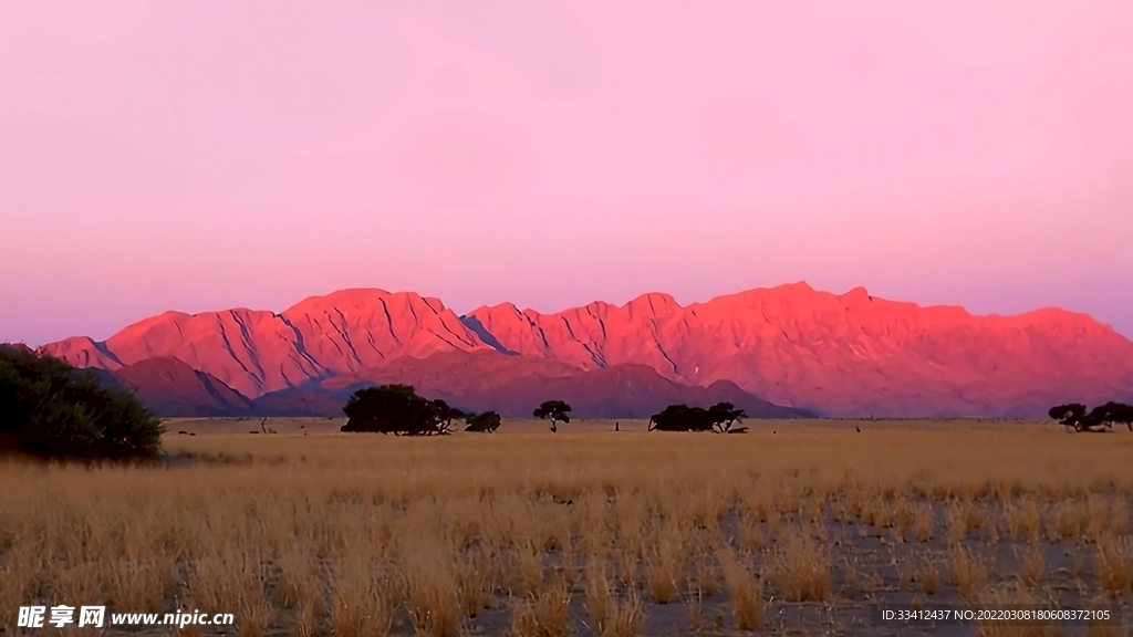 山