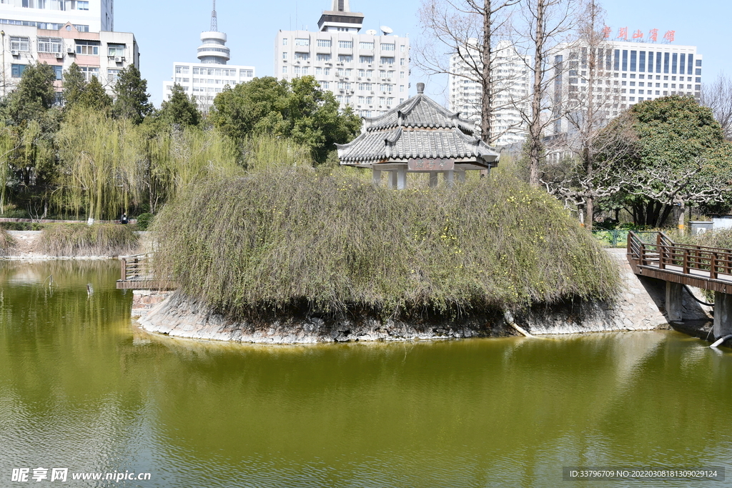 紫荆山公园君子亭