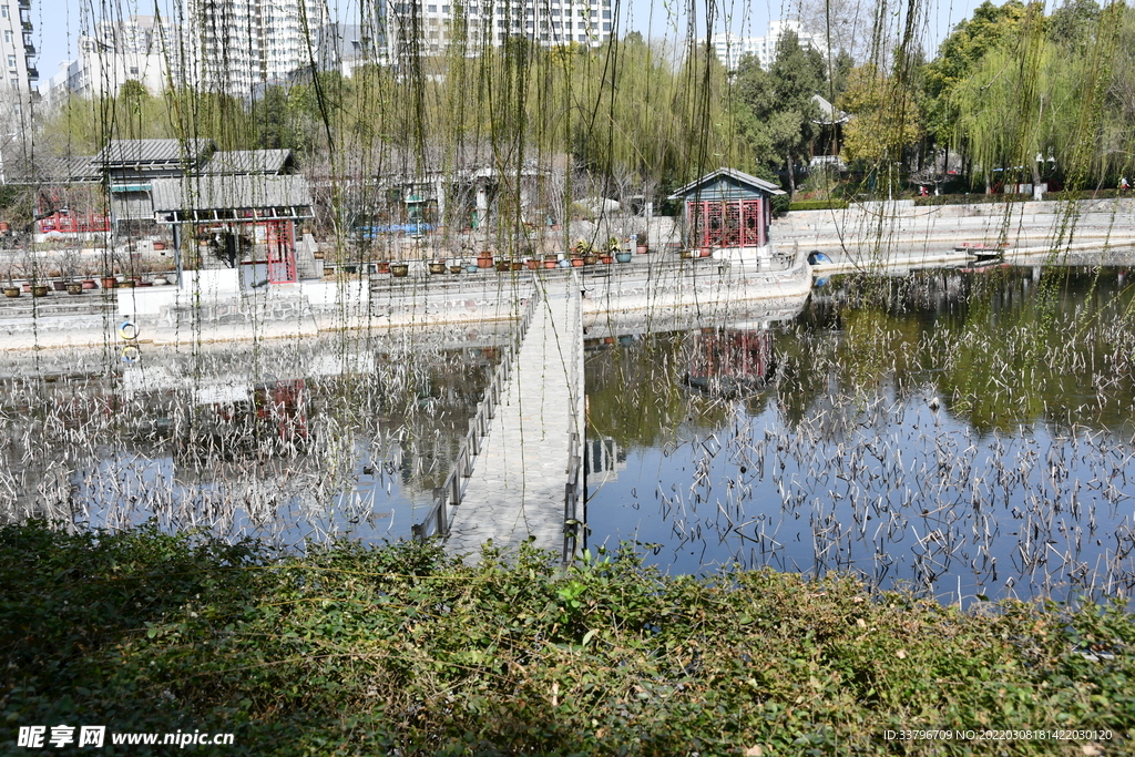 紫荆山公园