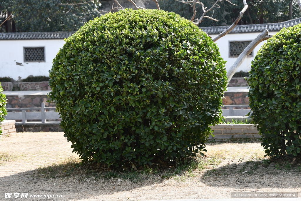 紫荆山公园