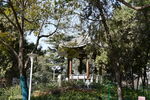 紫荆山公园