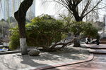 紫荆山公园