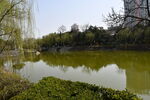 紫荆山公园