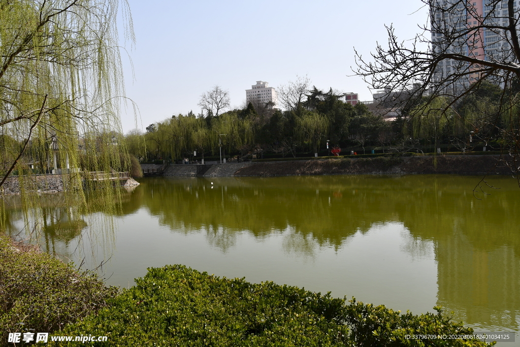 紫荆山公园