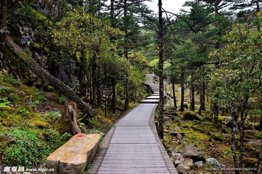 螺髻山-上山步道