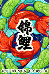 锦鲤