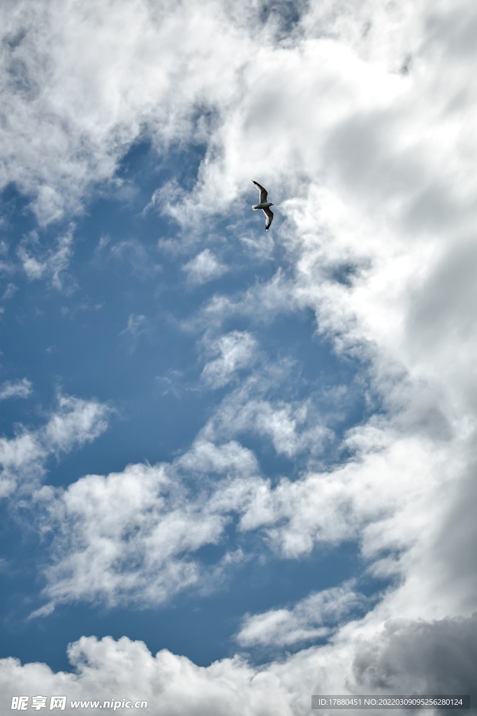 天空