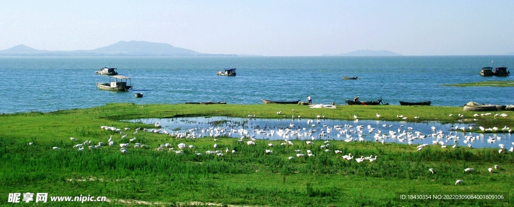 巢湖湿地