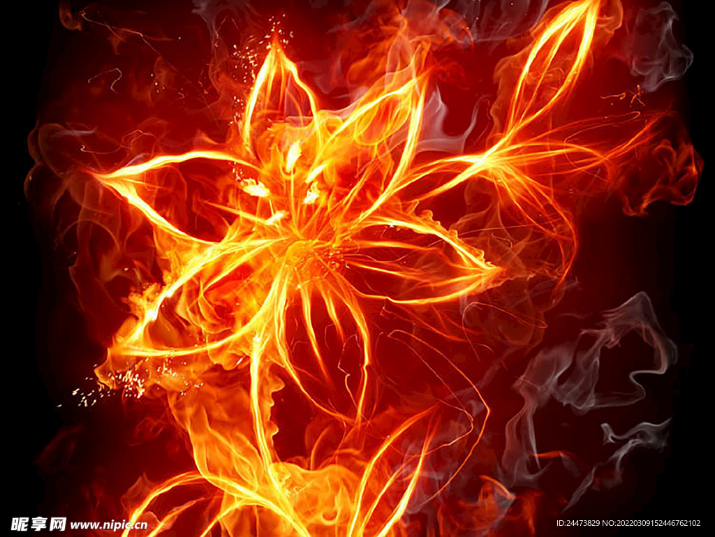红色高光火焰花朵背景素材图