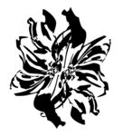 大牌 数码白色花