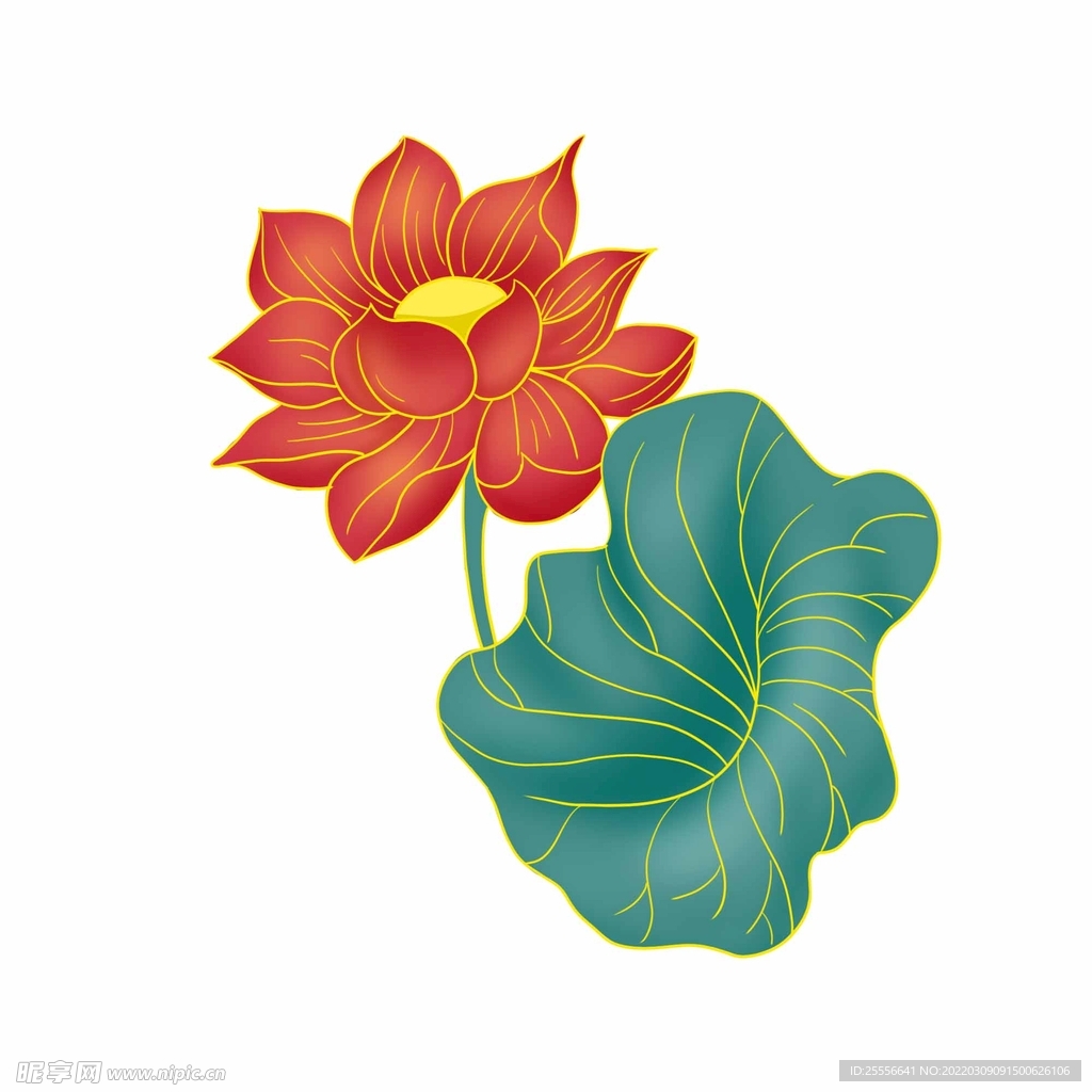 手绘荷花