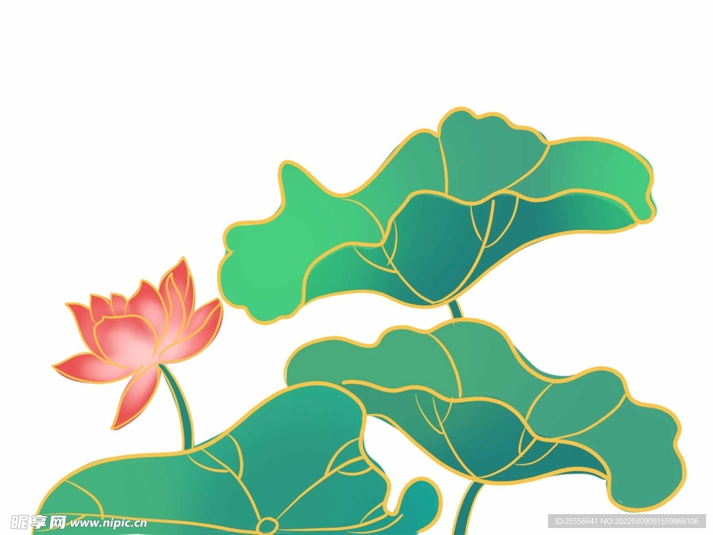 手绘荷花