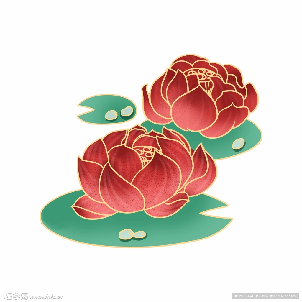 手绘荷花